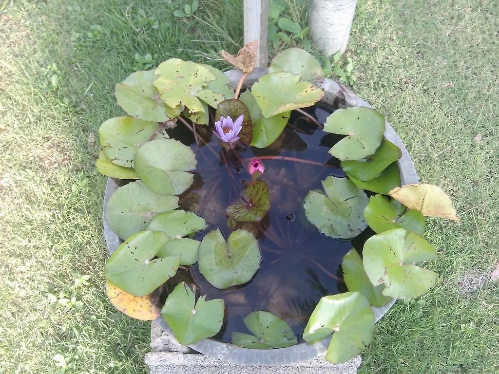 Rezort Angel Lanta Bungalow Ko Lanta