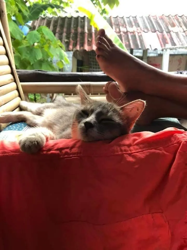 Angel Lanta Bungalow Koh Lanta 3*,  Thailand